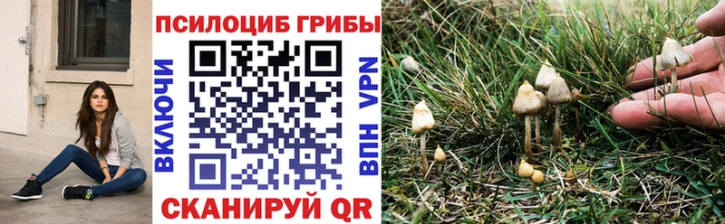 Галлюциногенные грибы ЛСД Урень